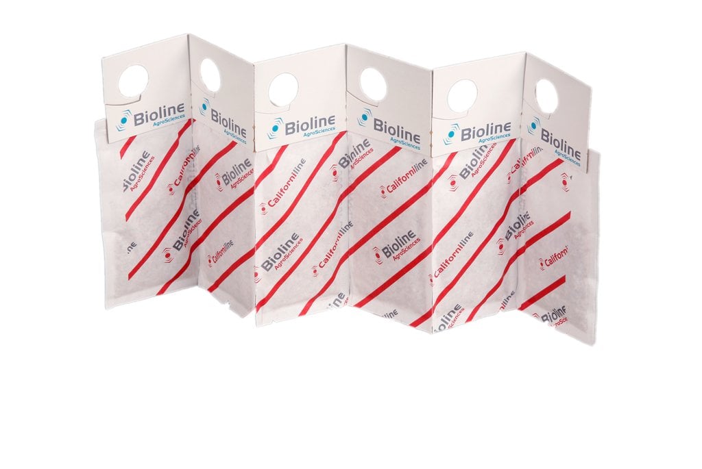 Californiline - 200 Mini Sachet - 25000 Individuals