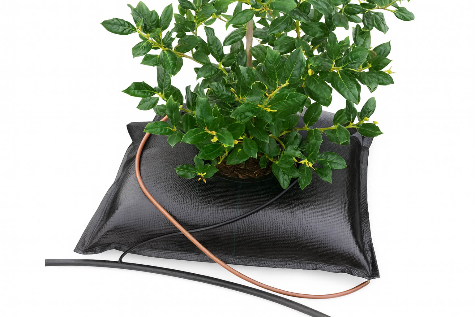 TD24S - Square Shape For Plants Of 12 Inches Rootball