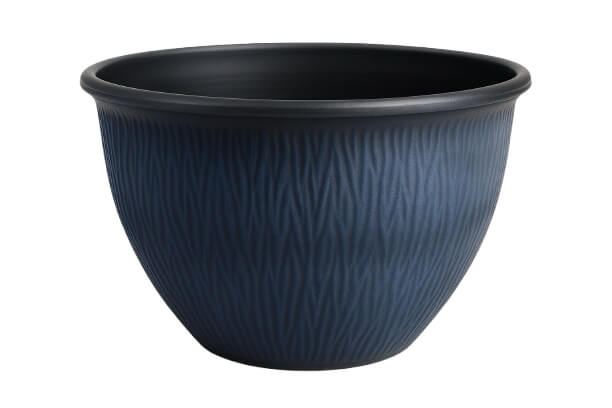 Nori Bowl