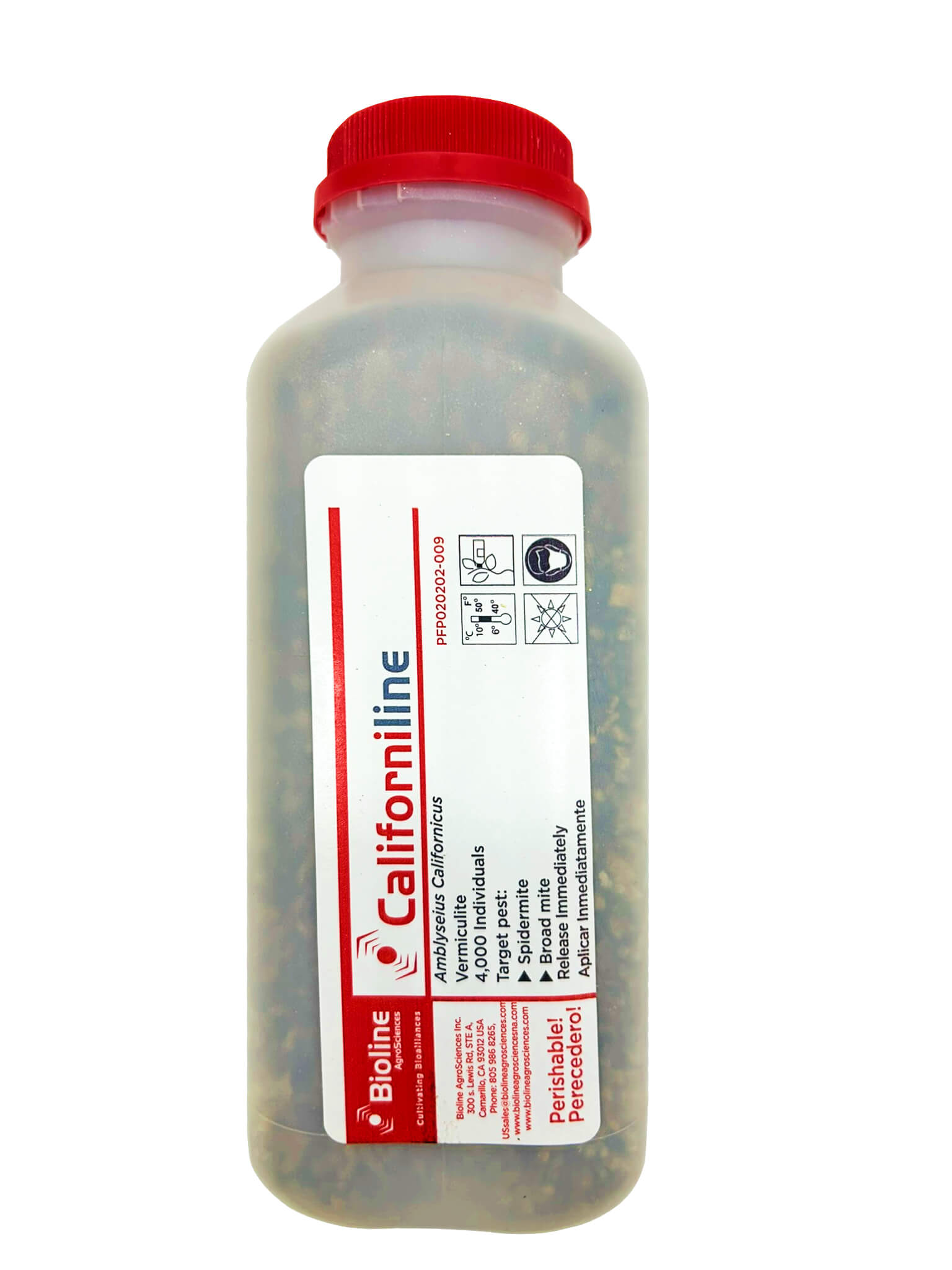 Californiline - Vermiculite - Bottle - 4000 Individuals
