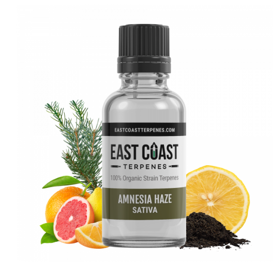 Amnesia Haze Terpene Profile Wax Liquidizer (Sativa)