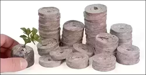 Pure Rooters 42MM Coco Plugs/Pellets - The Coco Depot