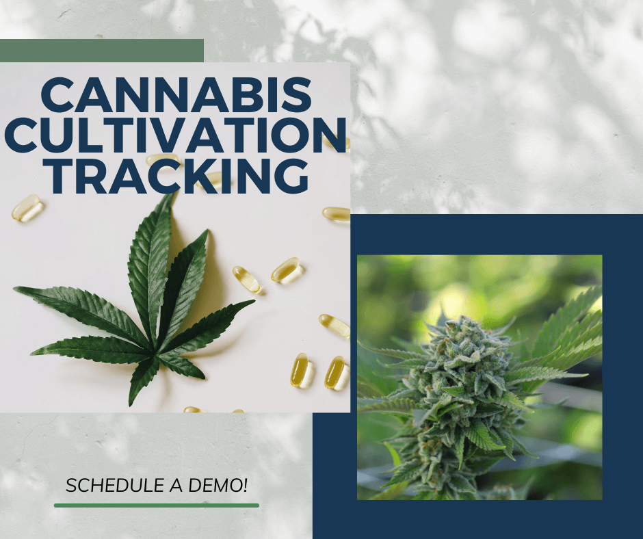 Cannabis Cultivation Tracking - Royal 4 Systems