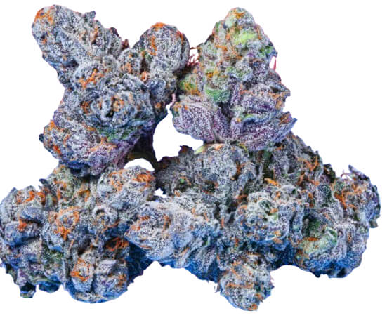 Biscotti Pippen - Trilogene Seeds