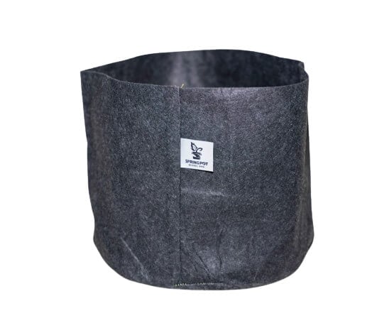 Nickel Bag - Spring Pot
