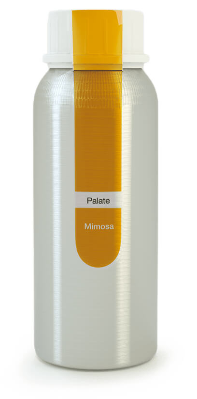 Eybna - Palate Line Mimosa