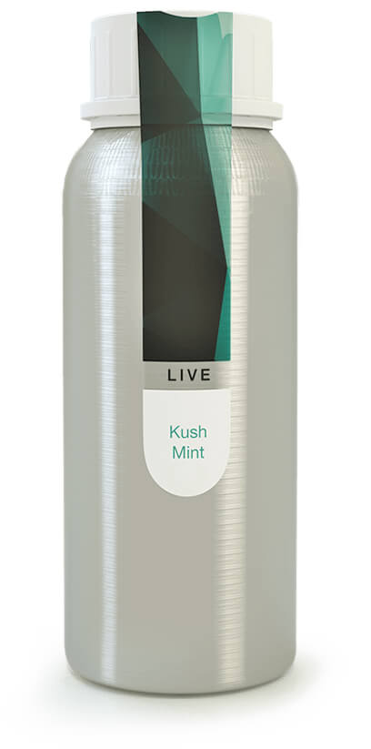 Eybna - Live Line Kush Mint