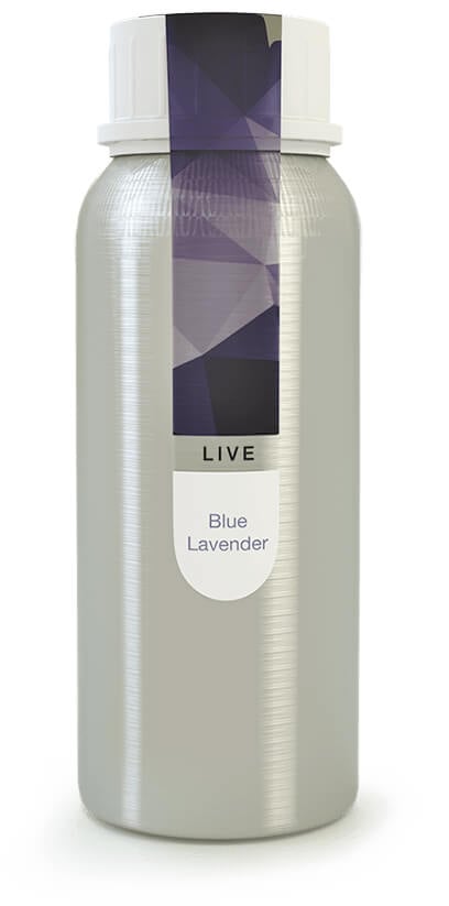 Eybna - Live Line Blue Lavender