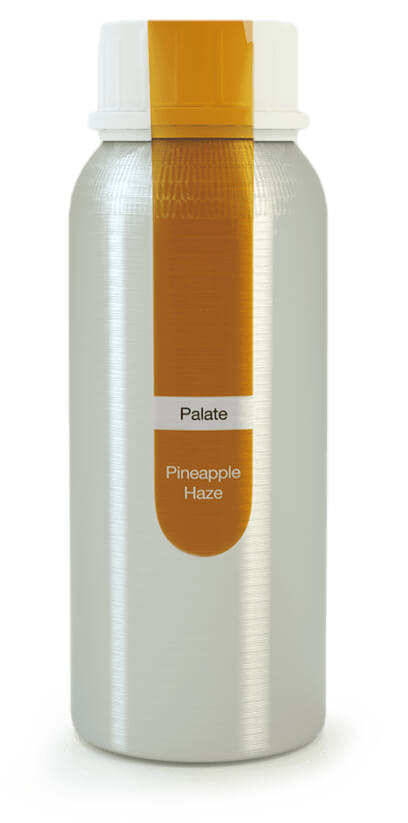 Eybna - Palate Line Pineapple Haze