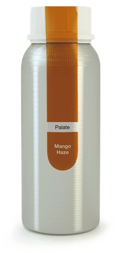 Eybna - Palate Line Mango Haze
