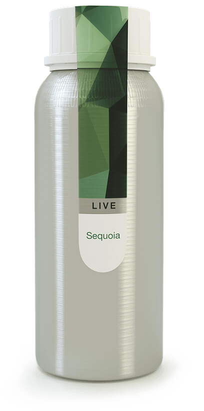 Eybna - Live Line Sequoia