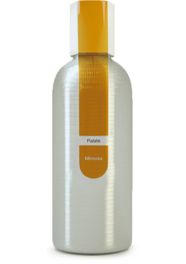 Eybna - Palate Line Mimosa