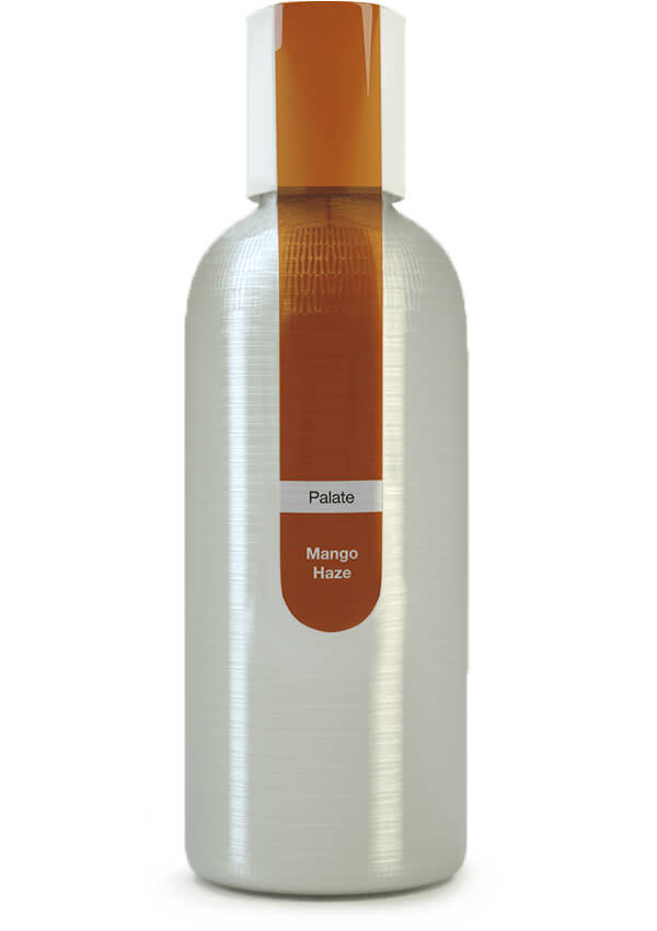 Eybna - Palate Line Mango Haze