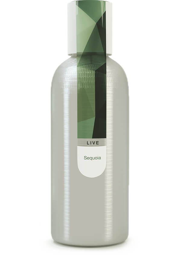 Eybna - Live Line Sequoia