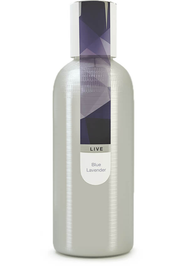 Eybna - Live Line Blue Lavender
