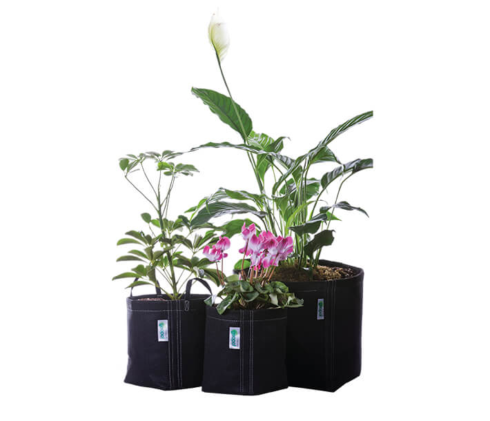 GeoPot Garden Kit - Left Coast Wholesale