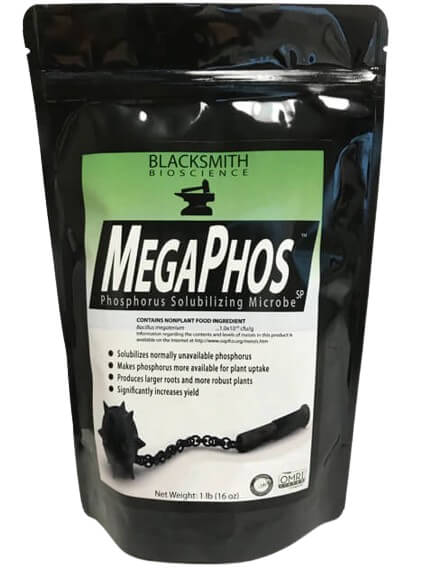 MegaPhos SP - Blacksmith Bioscience