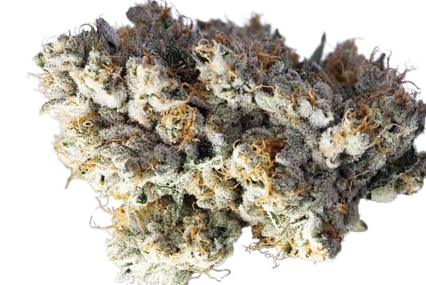 OG Kush - Platinum Seeds