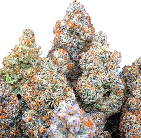 Blue Dream - Platinum Seeds