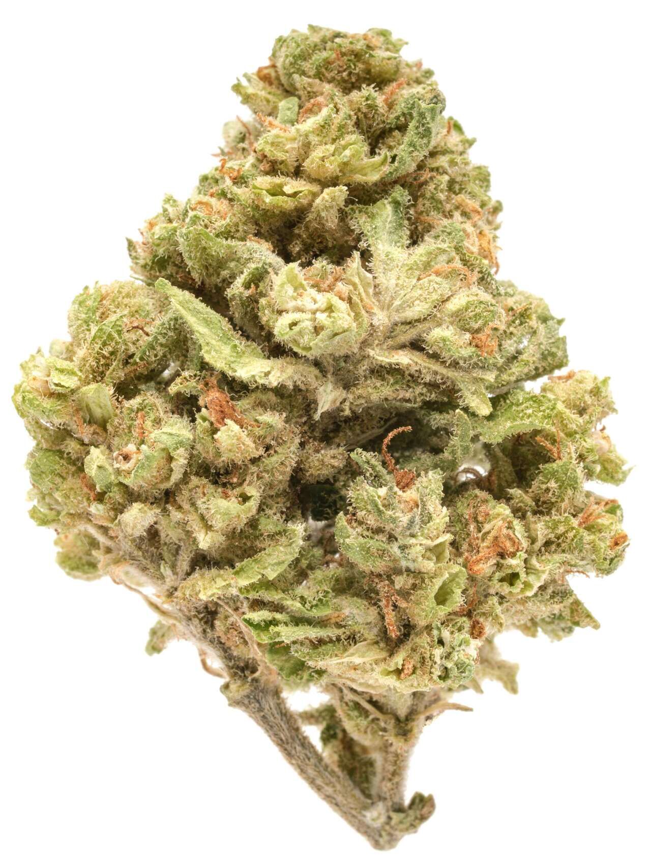 Acapulco Gold - Platinum Seeds