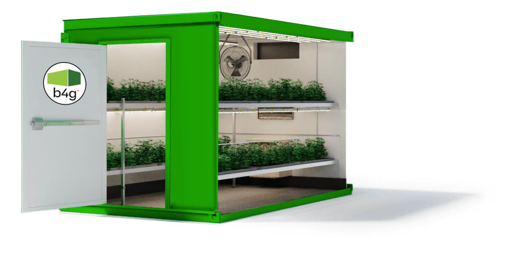 10-Foot Cannabis Grow Room - Box4Grow