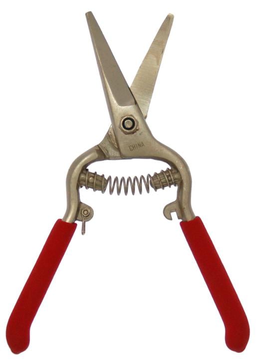 Needlenose Shear Grape 8-Inch