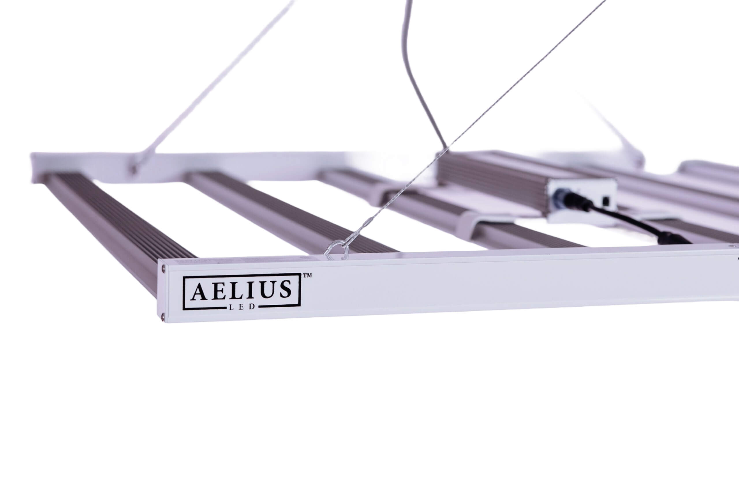 Matrx REDD 3.0F - Aelius LED