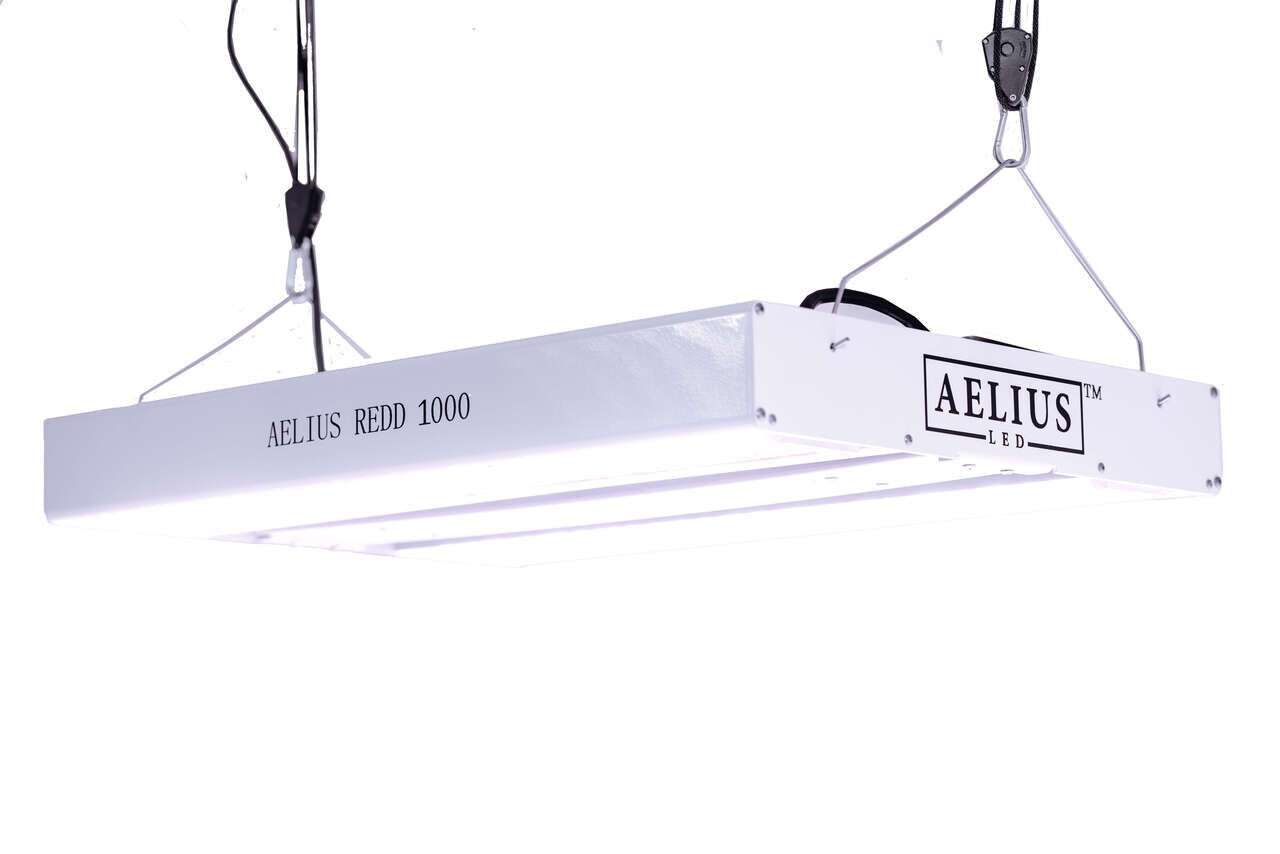 Aelius REDD 3.0 Series - Aelius LED