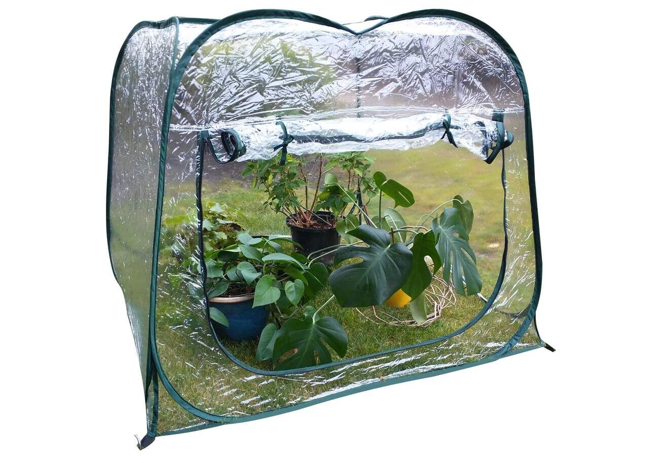 Large Pop-Up Greenhouse 47.3 x 47.3 x 39.4-Inches