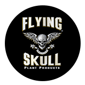 Flying Skull