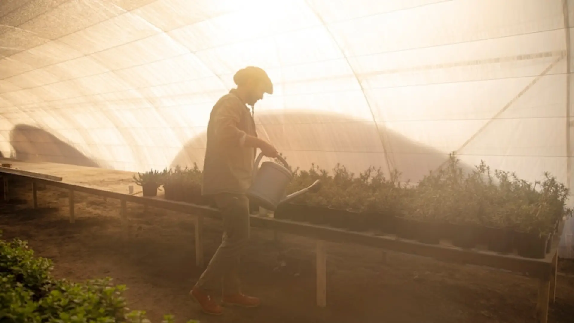 Grow environments