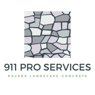 911 Pro services logo