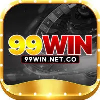 99winnetco logo
