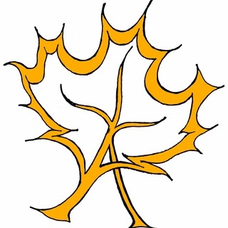 Acer Design Studio logo