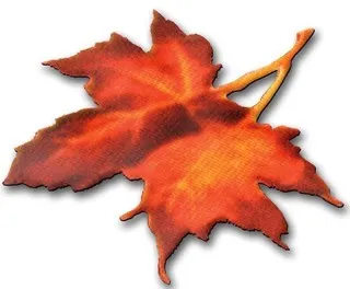 Agriscapes, LLC logo