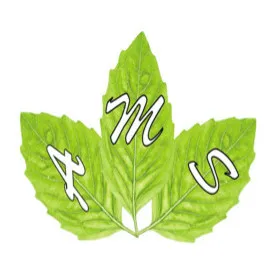 AMS Self-Storage and Landscaping logo