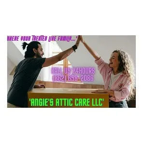 Angie's Attic Care LLC logo