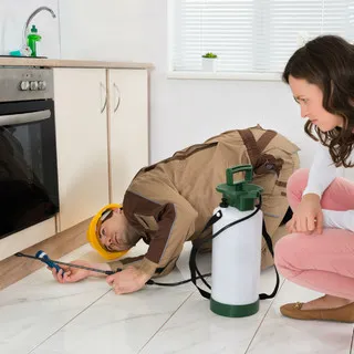 Arguello Termite & Pest Control logo