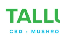 Ashley Guy logo