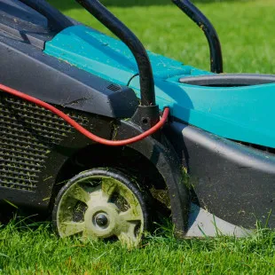 Austin Lawn & Landscape Services logo