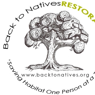 Back to Natives logo