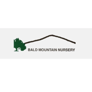 Bald Mountain Nursery logo