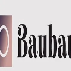 Baubau Remediation - Junk Removal & Hauling in Leander, TX