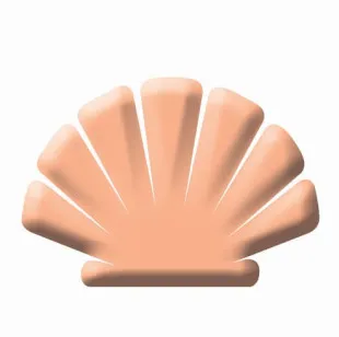 Beach Realty & Construction Kitty Hawk Rentals logo