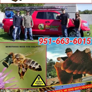 BeeSmart Bee Removal - Pest Control Services in Palm Springs, CA