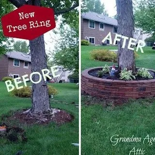 Before & After Lawn Care logo