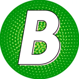 Benchmark Home Services Inc. logo