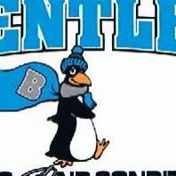 Bentley Heating and Air Conditioning logo
