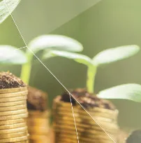 Best Financial Planprots logo