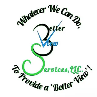 Better View Services LLC logo